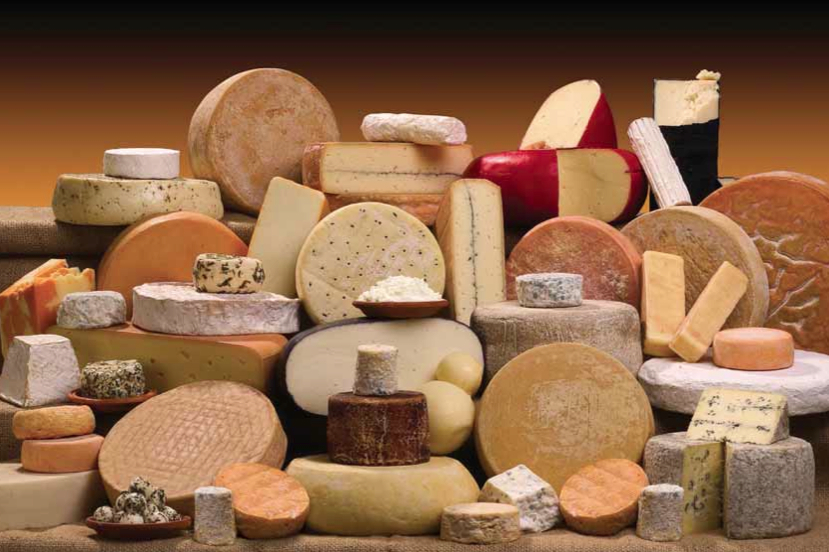 étal de fromages artisanaux dans une fromagerie québécoise